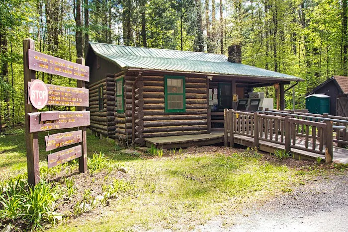 Austin Hawes Campground Picture 4