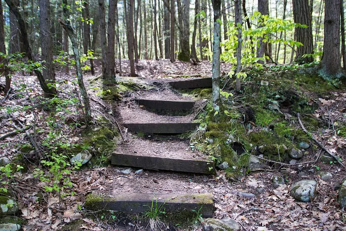 Austin Hawes Campground Picture 6