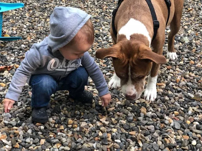 Laurel Ridge Campground Picture 5