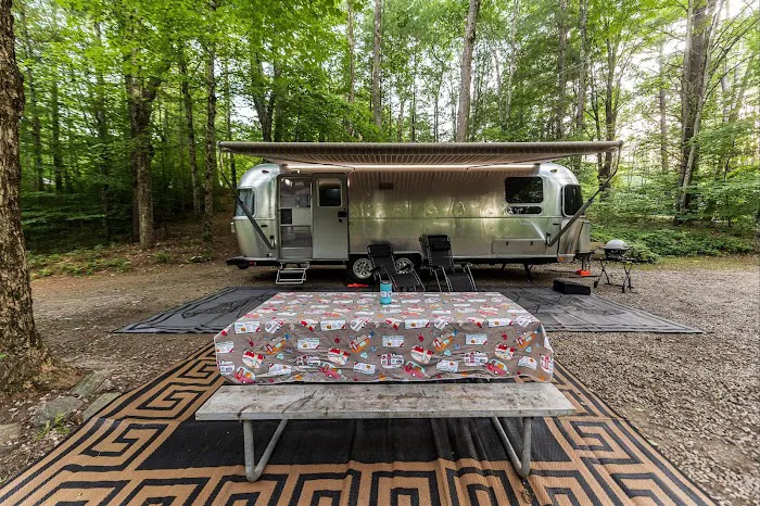 Mt. Greylock Campsite Park Picture 4