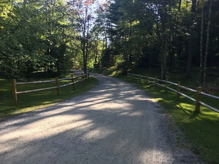 Mt. Greylock Campsite Park Picture 7