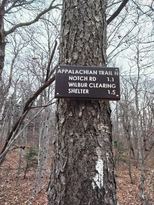Mt. Greylock Campground Parking Lot Picture 5