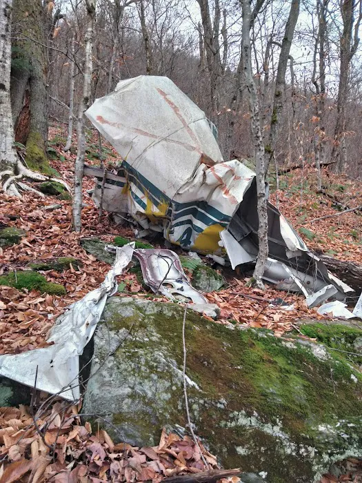 Mt. Greylock Campground Parking Lot Picture 6