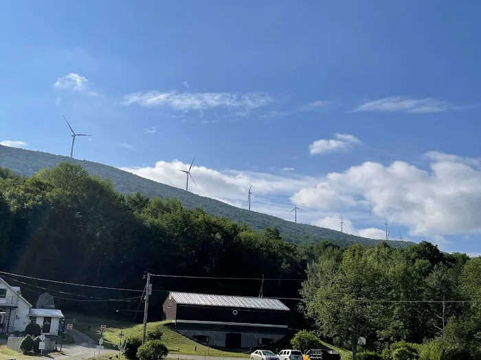 Privacy Campground Picture 7