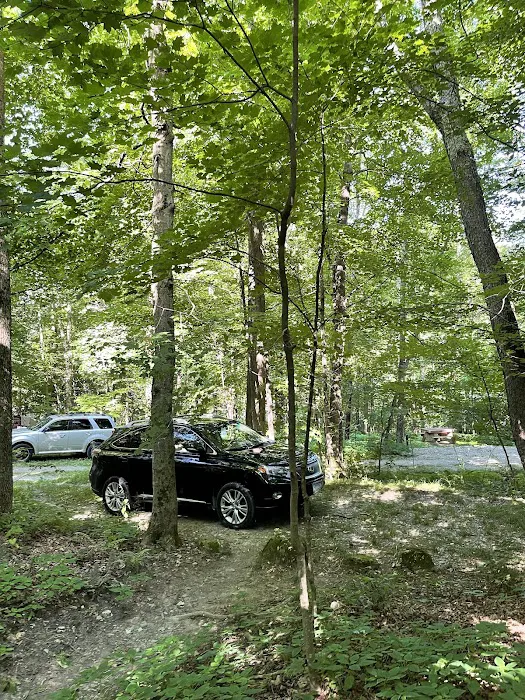 Privacy Campground Picture 10