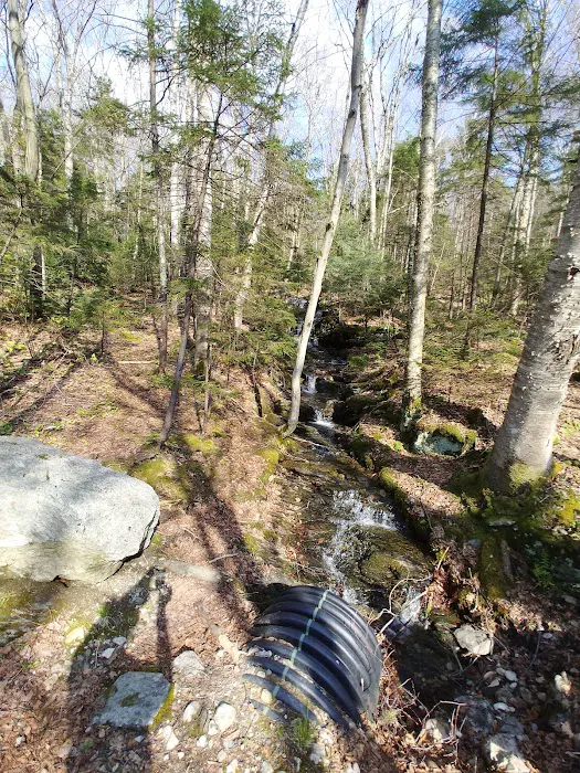 Sperry Road Campground Picture 8