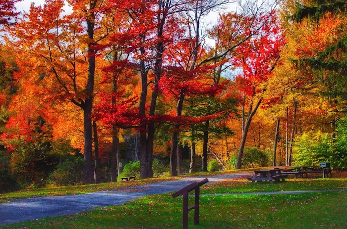 Sperry Road Campground Picture 6