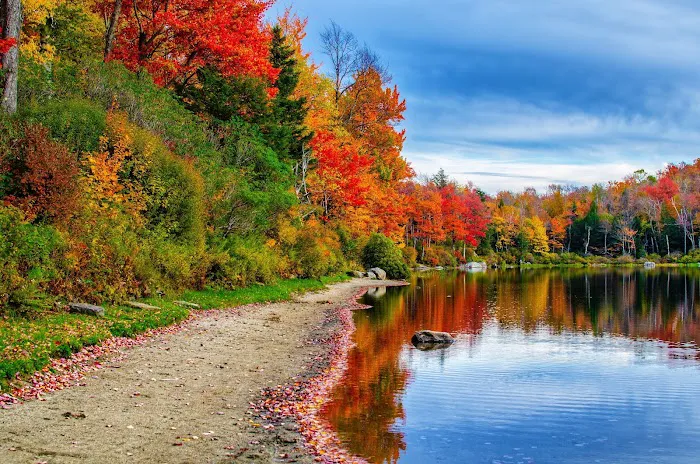 Sperry Road Campground Picture 3