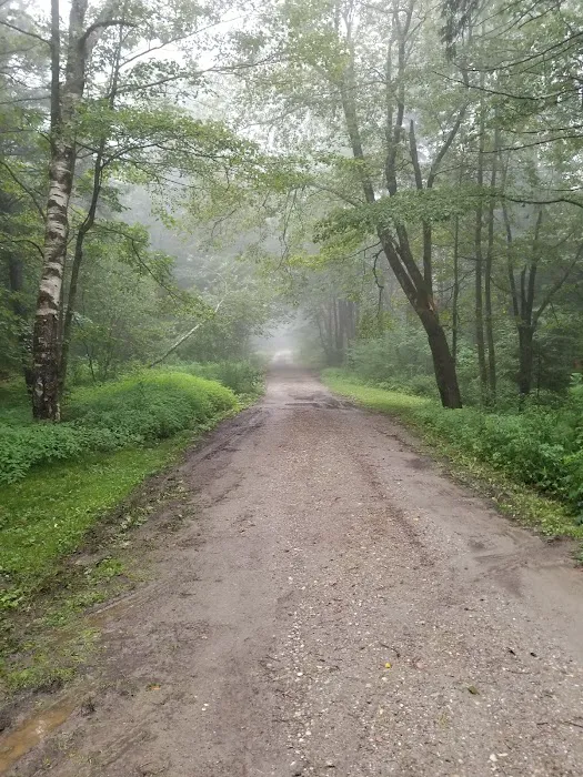 Sperry Road Campground Picture 4