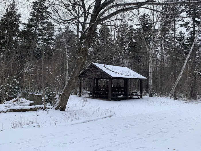 Sperry Road Campground Picture 9