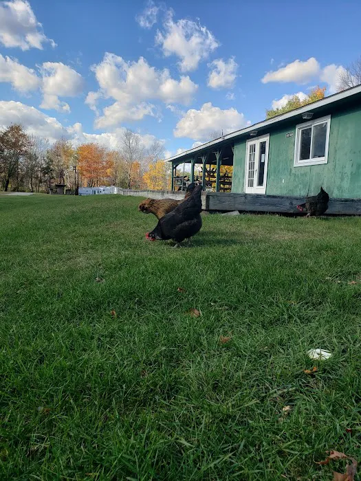 Summit Hill Campground Picture 7
