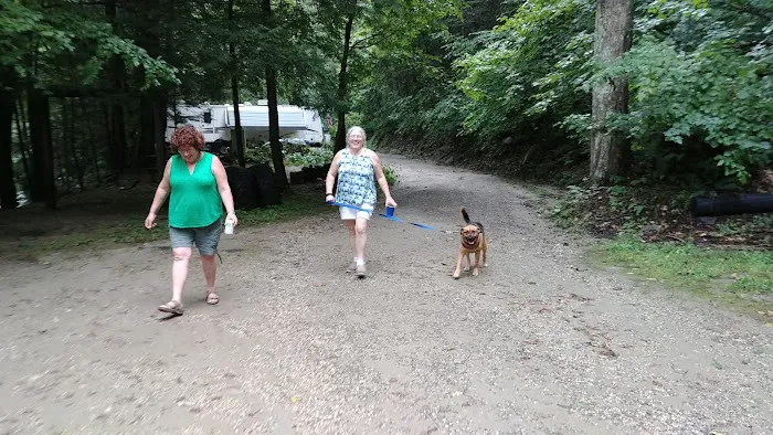 Walker Island Family Camping Picture 5