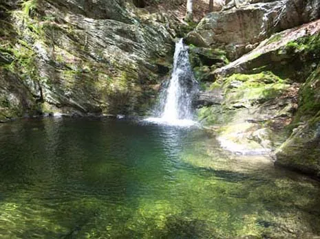 AMC Noble View Outdoor Center Picture 5