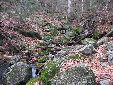 AMC Noble View Outdoor Center Picture 8