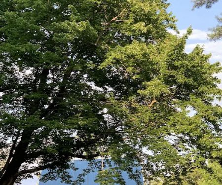 AMC Noble View Outdoor Center