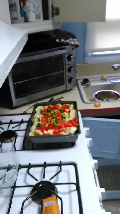 Adult Southwick Acres Campgrounds Picture 10