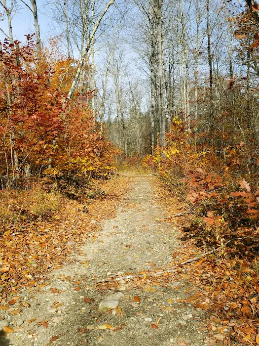 Indian Hollow Campground Picture 9