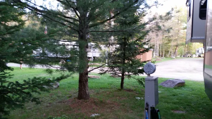 Peppermint Park Camping Resort Picture 8