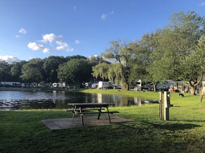 Riverdale Farm Campsite Picture 5