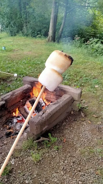 Riverdale Farm Campsite Picture 7