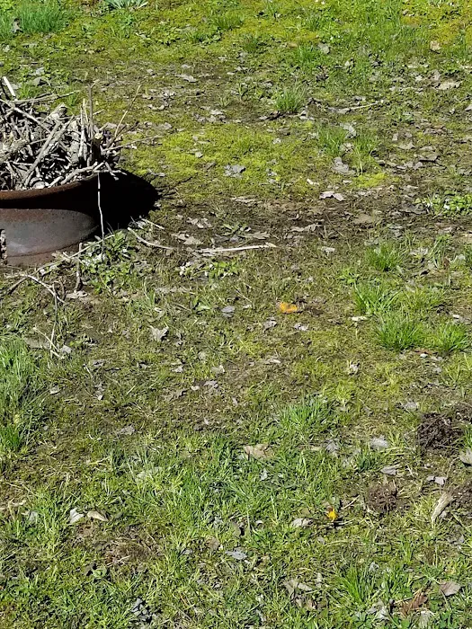 Little City Campground Picture 8