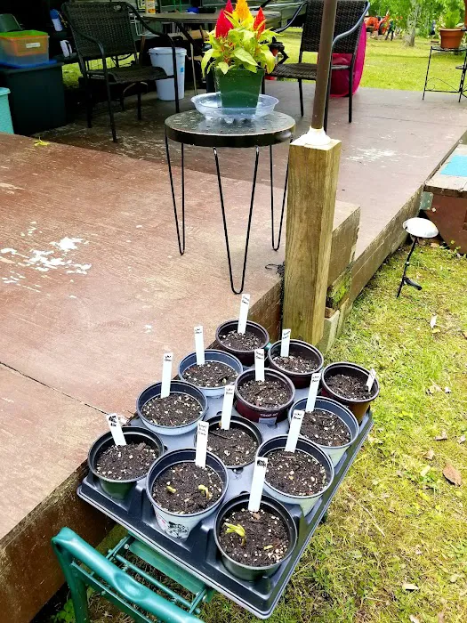 Little City Campground Picture 9