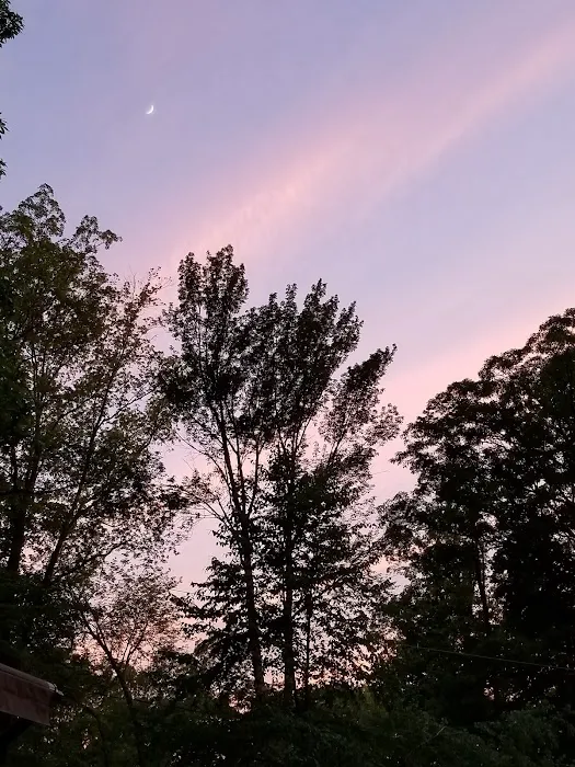 Little City Campground Picture 3