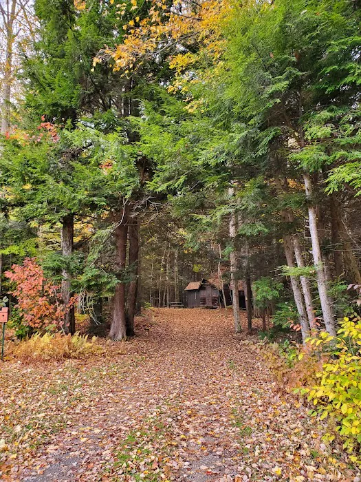 Girl Scout Camp Woodhaven Picture 9