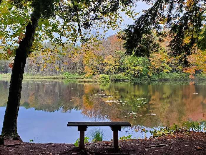 Girl Scout Camp Woodhaven Picture 3