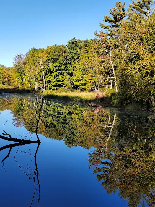 Girl Scout Camp Woodhaven Picture 2