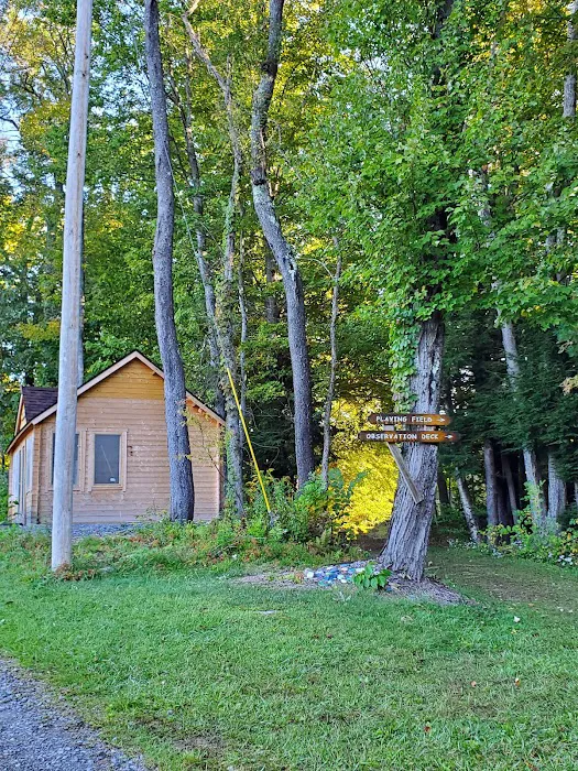 Girl Scout Camp Woodhaven Picture 8