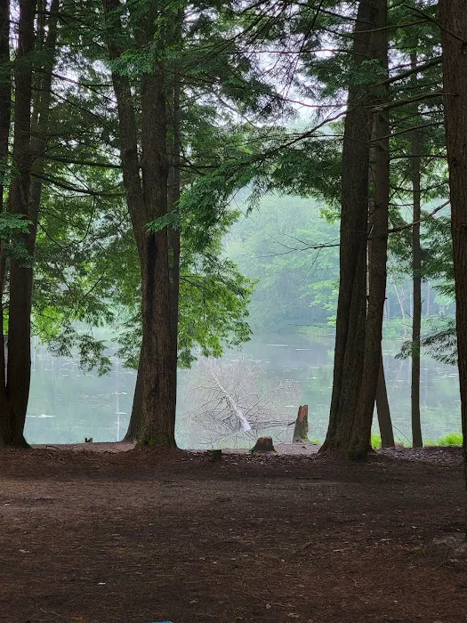Girl Scout Camp Woodhaven Picture 1