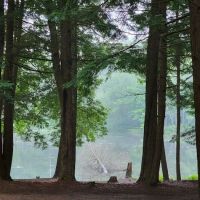 Girl Scout Camp Woodhaven ico