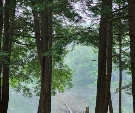 Girl Scout Camp Woodhaven