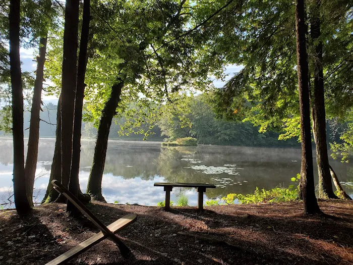 Girl Scout Camp Woodhaven Picture 5
