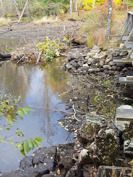 Girl Scout Camp Woodhaven Picture 4