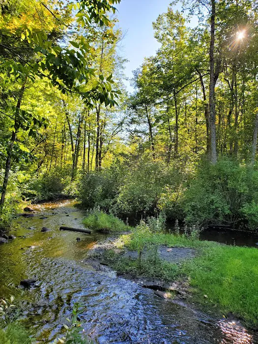 Girl Scout Camp Woodhaven Picture 10