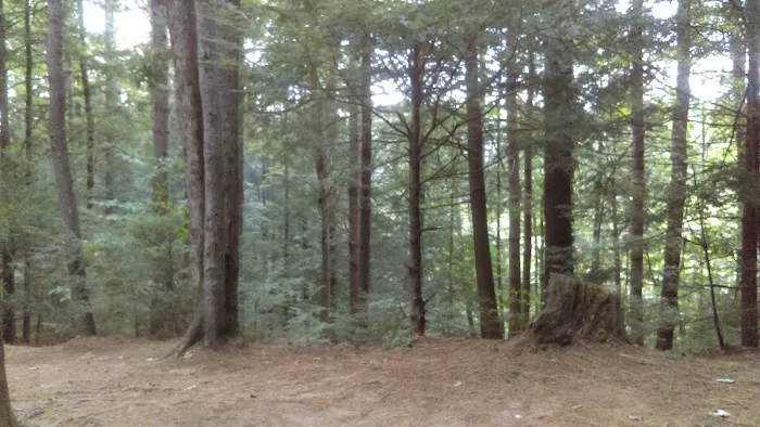 Pop's Lake Campground Picture 3