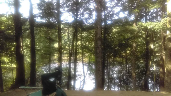 Pop's Lake Campground Picture 5