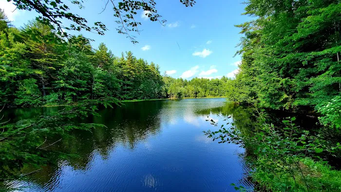 Pop's Lake Campground Picture 7