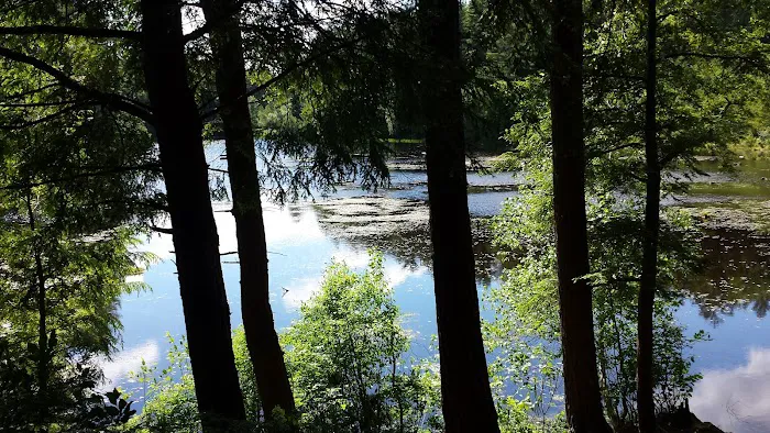 Pop's Lake Campground Picture 6