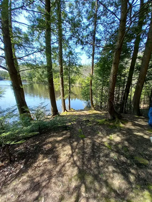 Pop's Lake Campground Picture 2