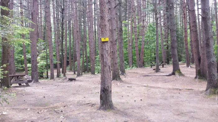 Pop's Lake Campground Picture 9