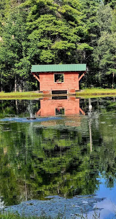 Royal Mountain Campground Picture 7