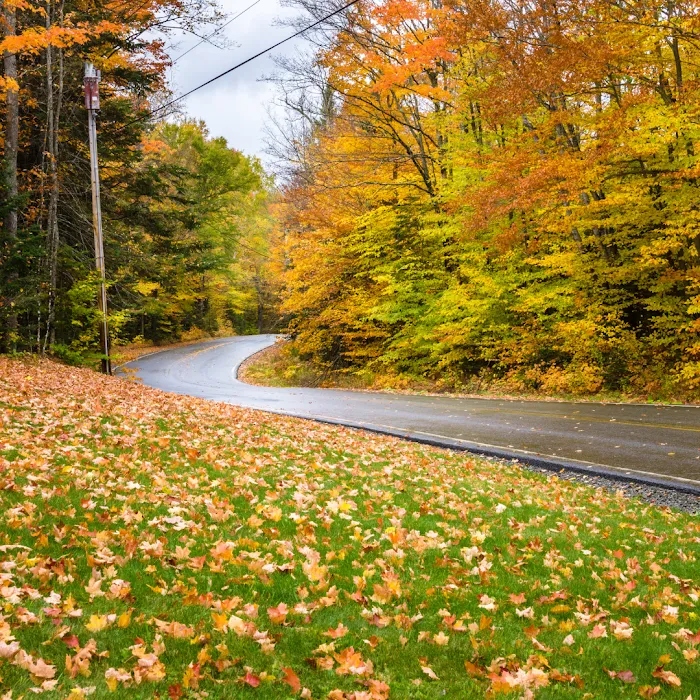 3 Acre Woodz Luxury Canvas Lodges Picture 2