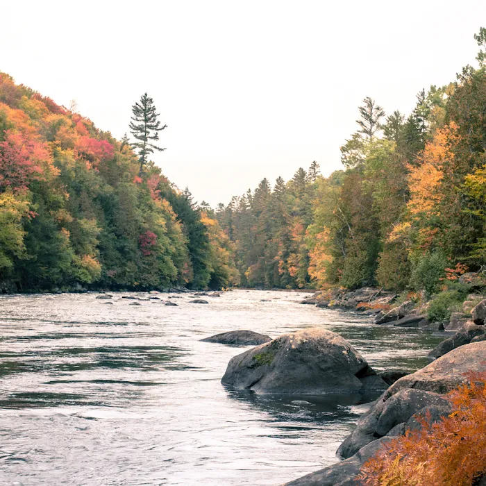 3 Acre Woodz Luxury Canvas Lodges Picture 3