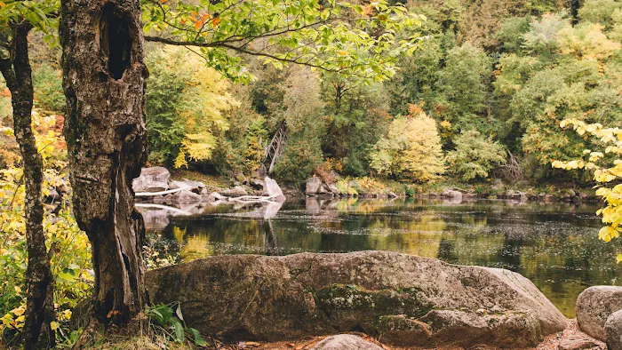 3 Acre Woodz Luxury Canvas Lodges Picture 1