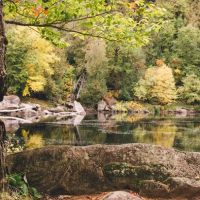 3 Acre Woodz Luxury Canvas Lodges ico