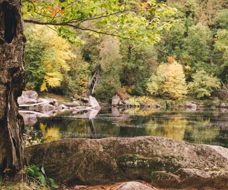 3 Acre Woodz Luxury Canvas Lodges