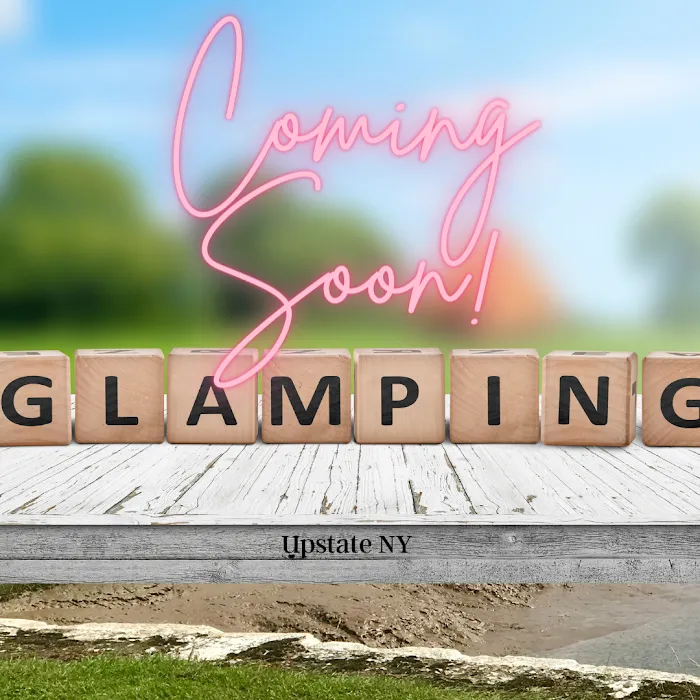 3 Acre Woodz Luxury Canvas Lodges Picture 7